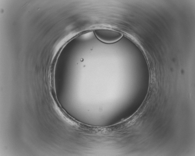 X0000057081003200509231619