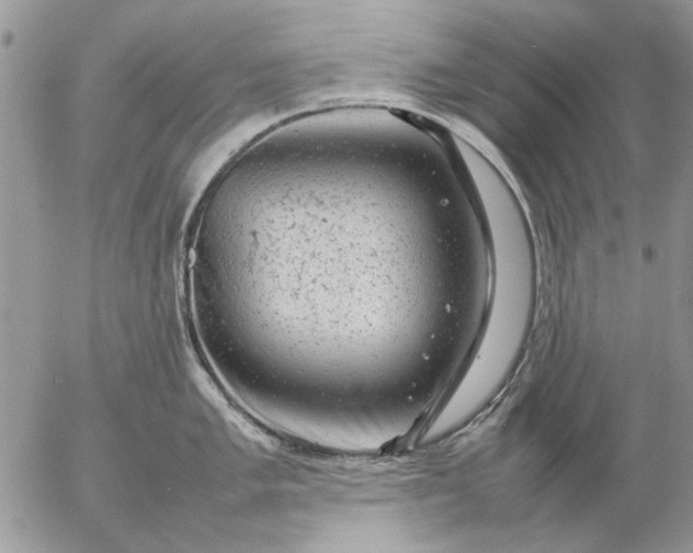 X0000057081005200509231619