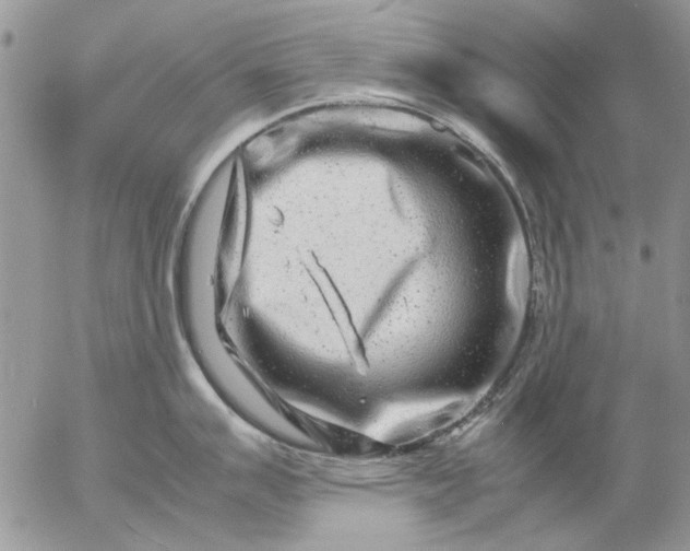 X0000057081007200509231619