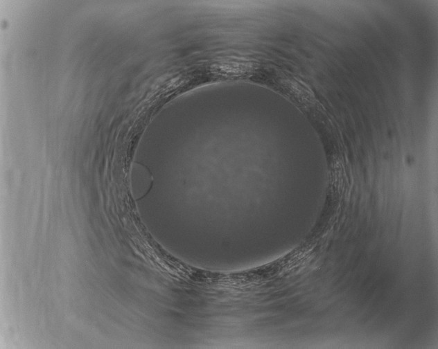 X0000057081009200509231618