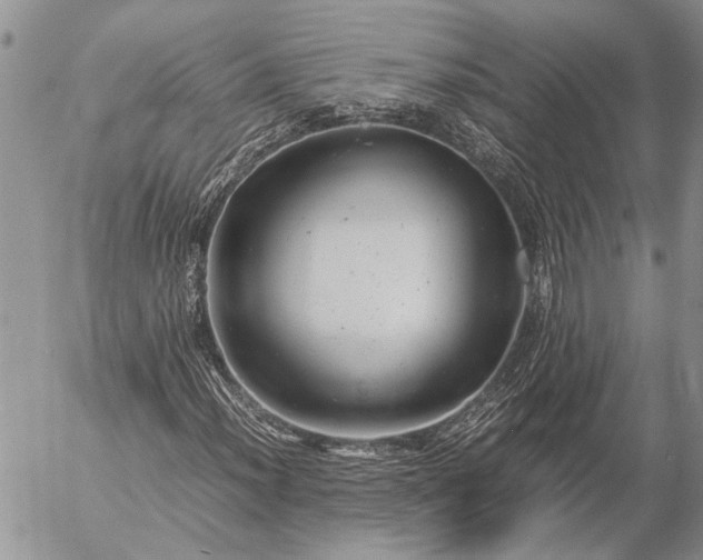 X0000057081012200509231618