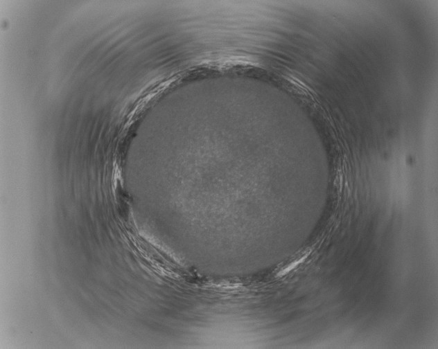 X0000057081014200509231618