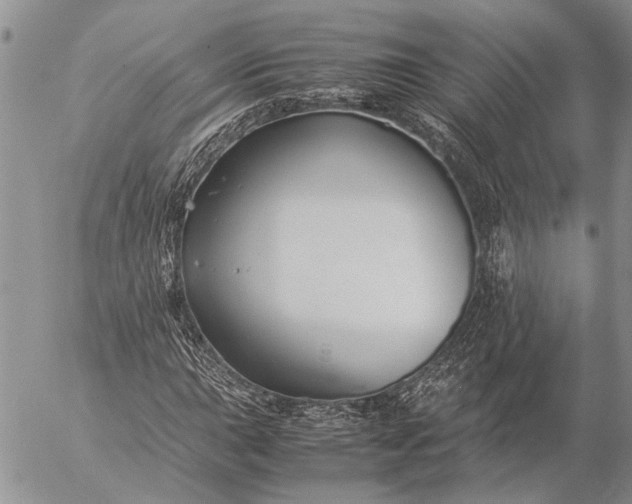 X0000057081015200509231618