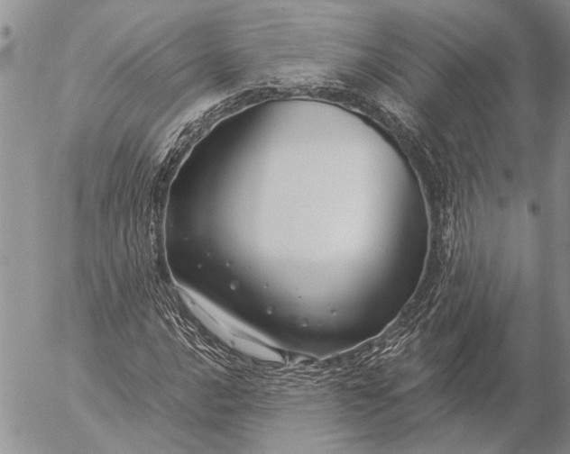 X0000057081016200509231618