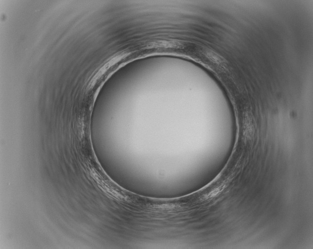 X0000057081017200509231618