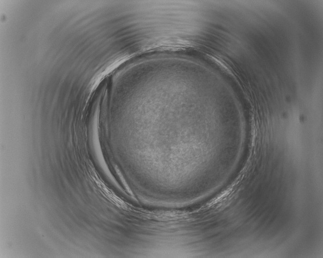 X0000057081018200509231618