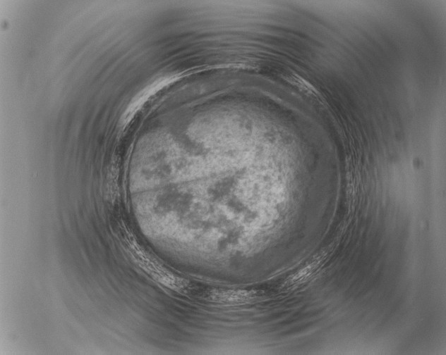 X0000057081019200509231618