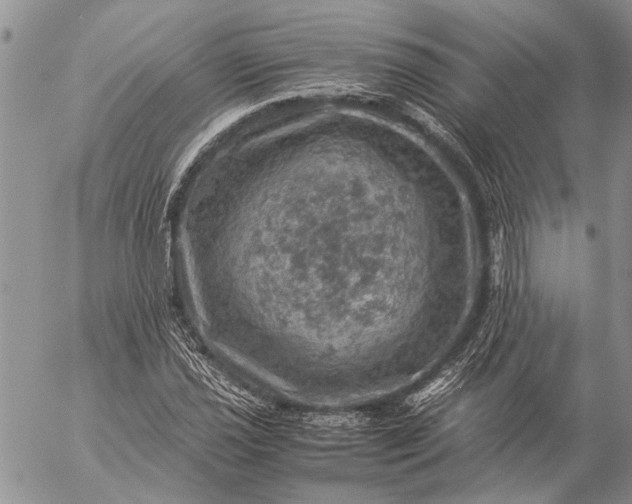 X0000057081021200509231618