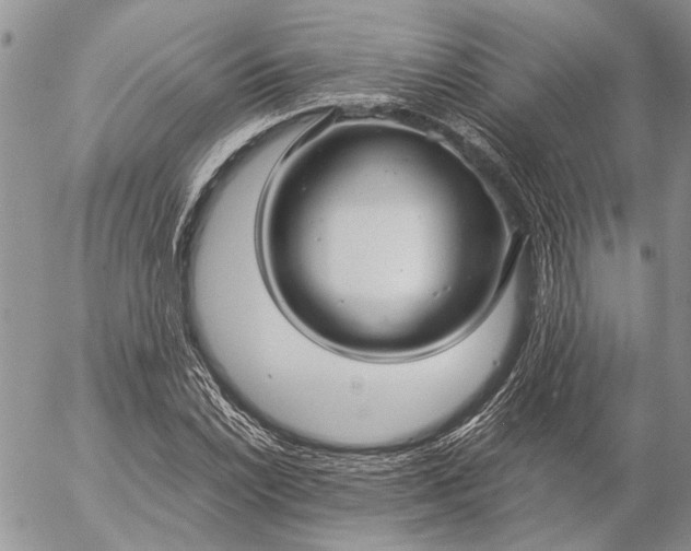 X0000057081022200509231618