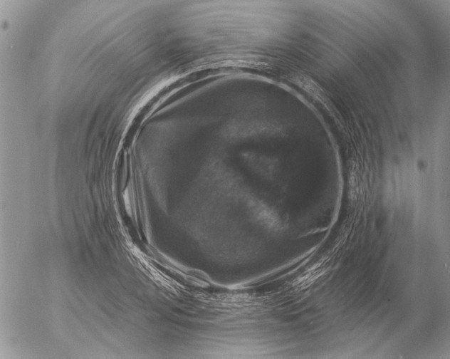 X0000057081024200509231618