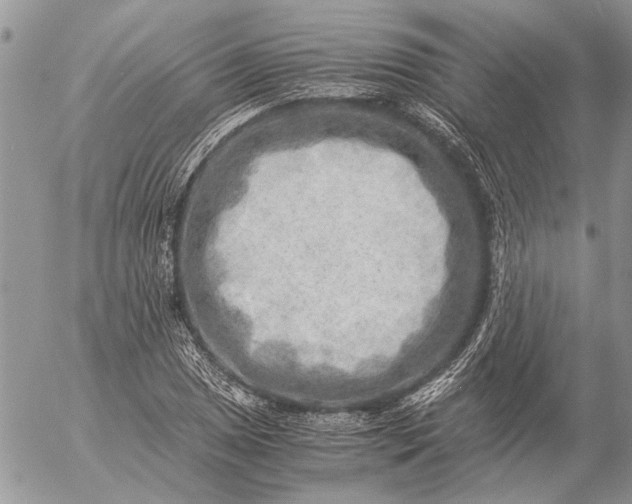 X0000057081025200509231618