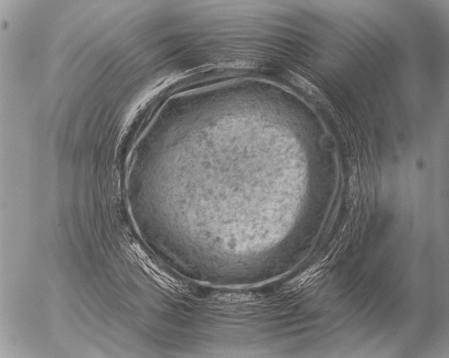 X0000057081027200509231618