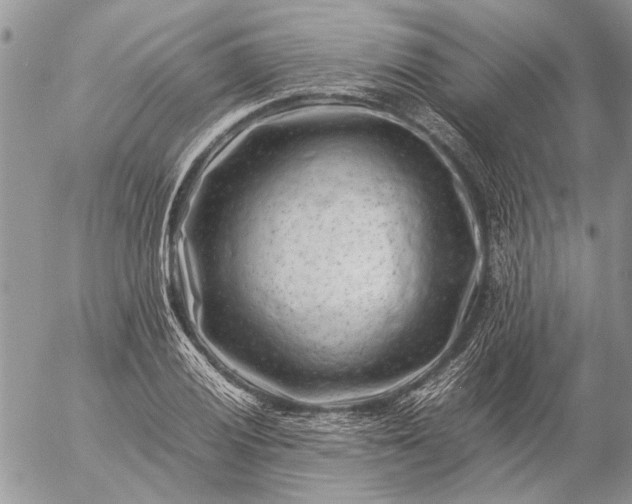 X0000057081028200509231618