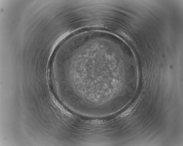 X0000057081029200509231618