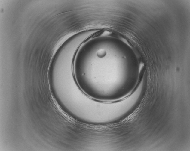 X0000057081030200509231618