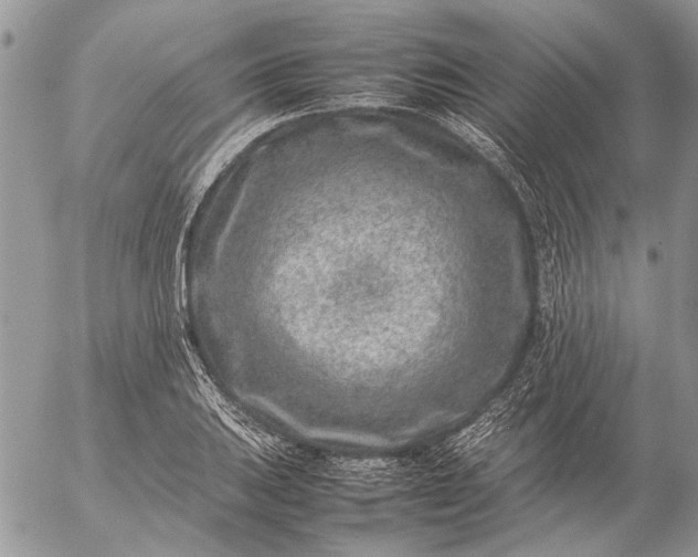 X0000057081031200509231618