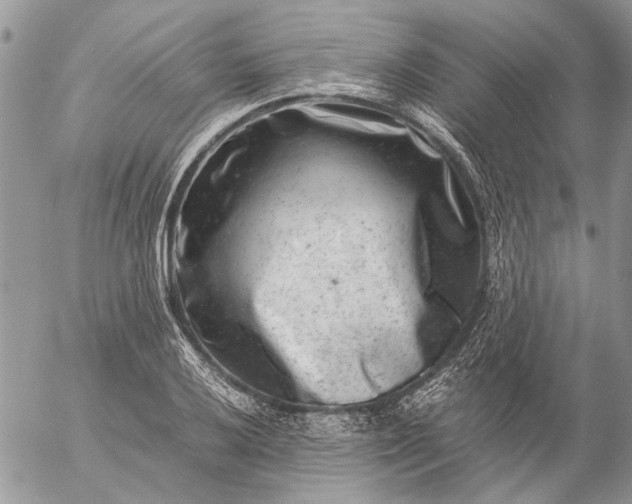 X0000057081032200509231618