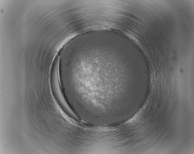 X0000057081034200509231618