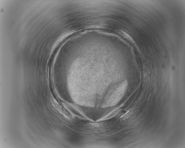 X0000057081035200509231618