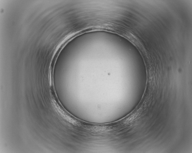 X0000057081036200509231618