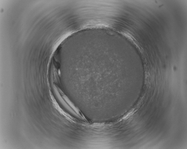 X0000057081038200509231619