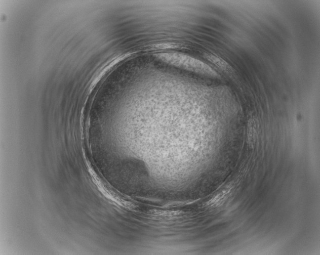 X0000057081039200509231619