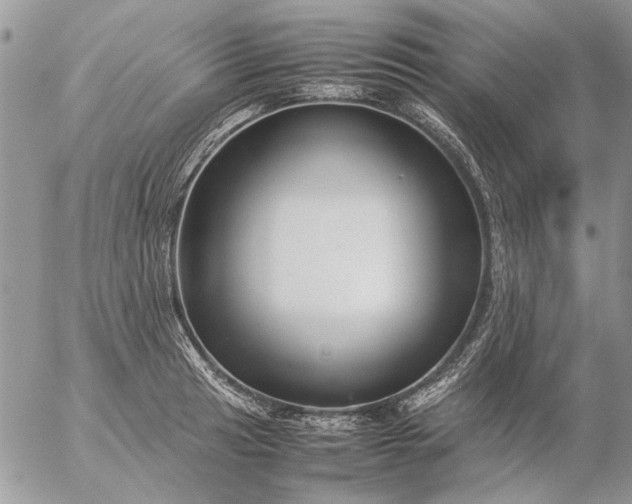 X0000057081041200509231619