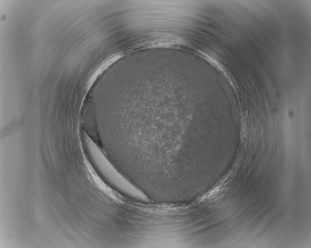 X0000057081042200509231619