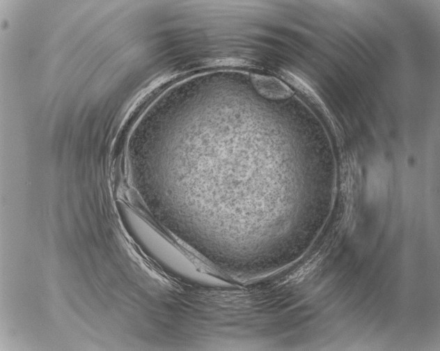 X0000057081043200509231619