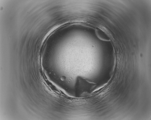 X0000057081044200509231619