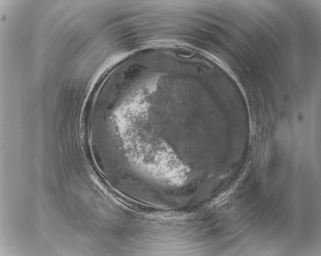 X0000057081045200509231619