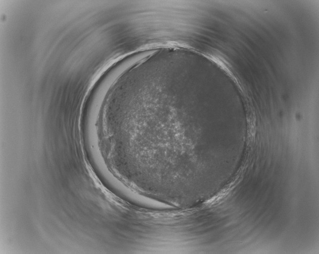 X0000057081046200509231619