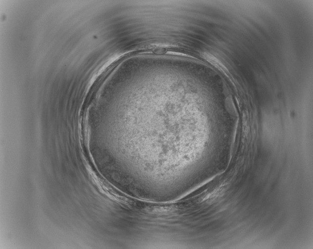 X0000057081047200509231619