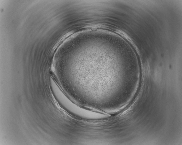 X0000057081049200509231619