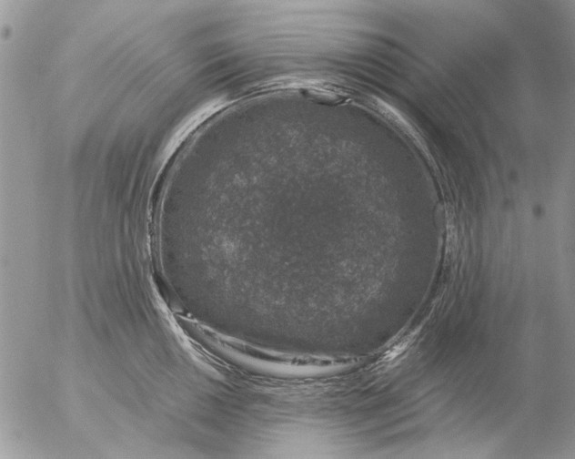 X0000057081050200509231619