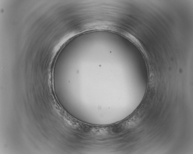 X0000057081051200509231619