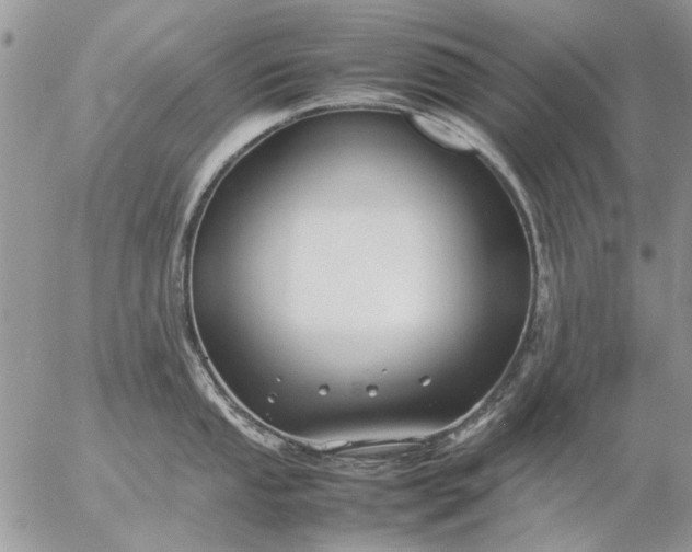 X0000057081053200509231619