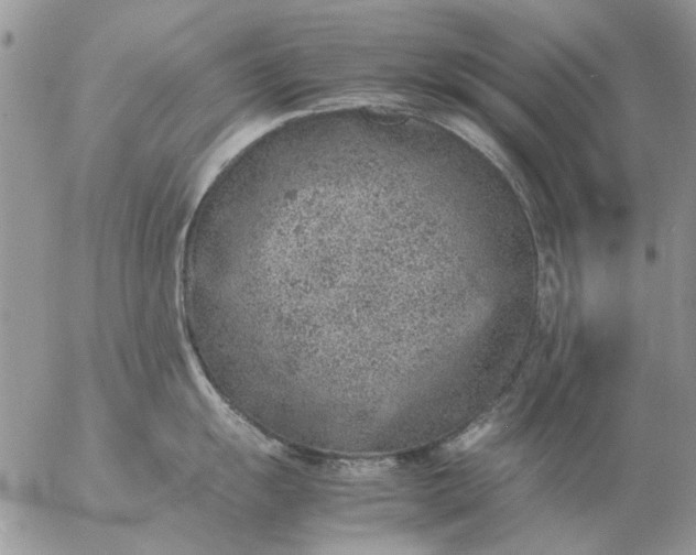 X0000057081055200509231619