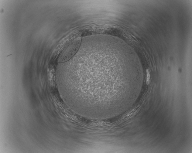 X0000057081059200509231618