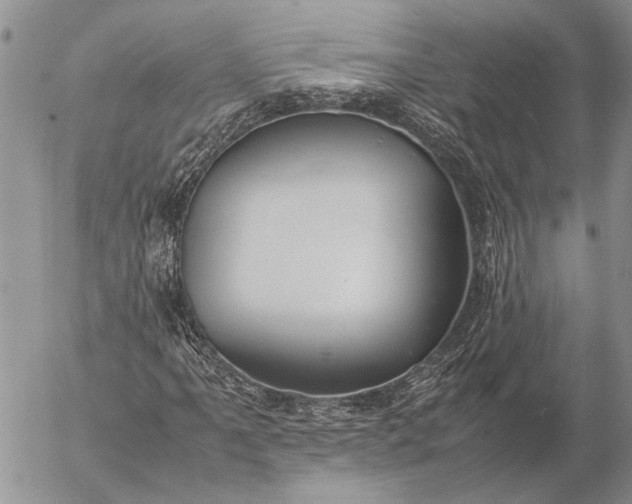 X0000057081061200509231618