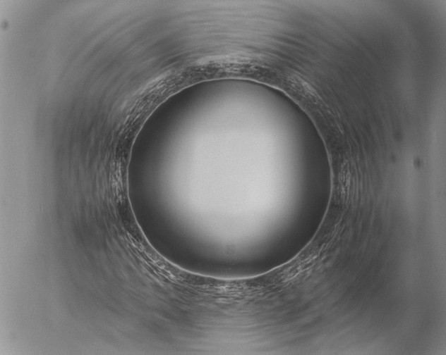 X0000057081062200509231618