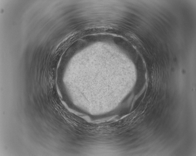 X0000057081064200509231618