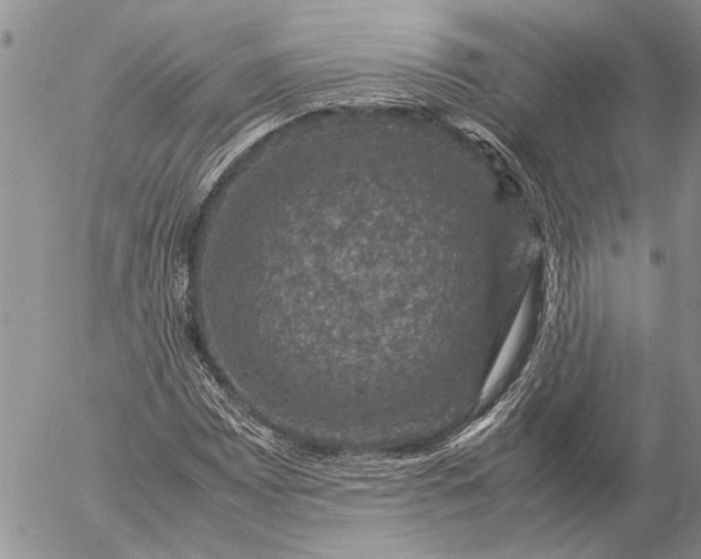 X0000057081065200509231618