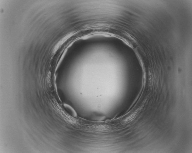 X0000057081066200509231618