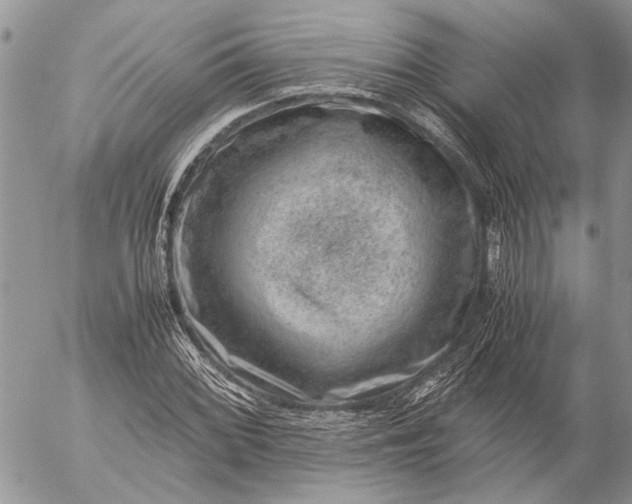 X0000057081068200509231618