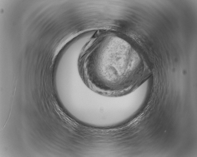 X0000057081069200509231618