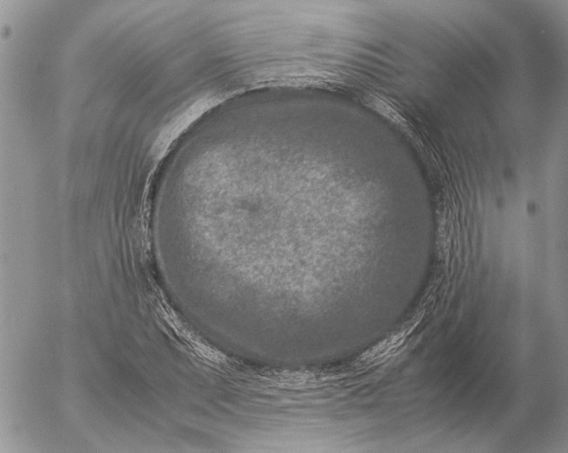 X0000057081071200509231618