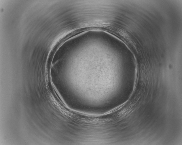 X0000057081072200509231618