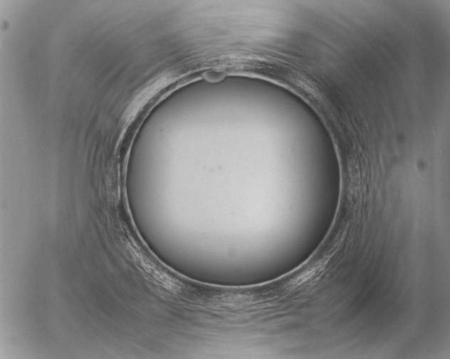 X0000057081075200509231618