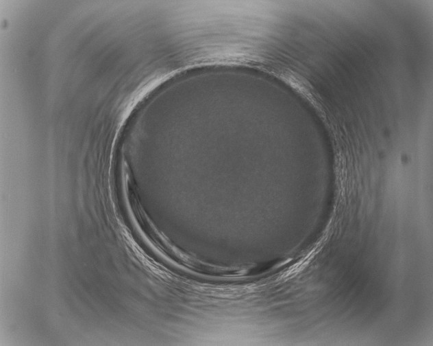 X0000057081077200509231618